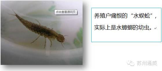 中國養殖基地 yzjidi.com