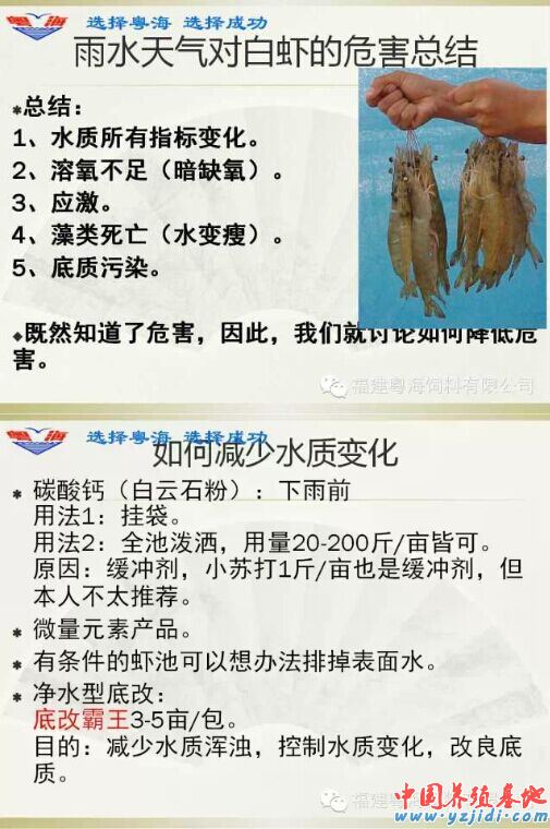 中國養殖基地 yzjidi.com