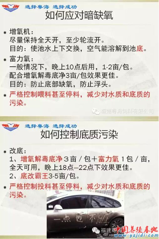 中國養殖基地 yzjidi.com