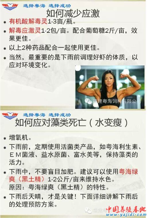 中國養殖基地 yzjidi.com