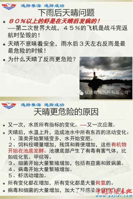 中國養殖基地 yzjidi.com