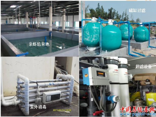 中國養殖基地 yzjidi.com