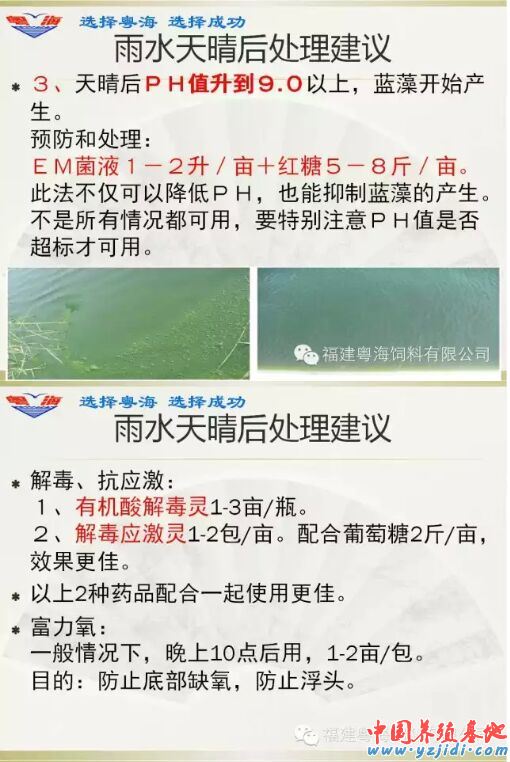 中國養殖基地 yzjidi.com