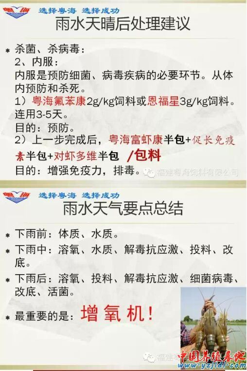 中國養殖基地 yzjidi.com