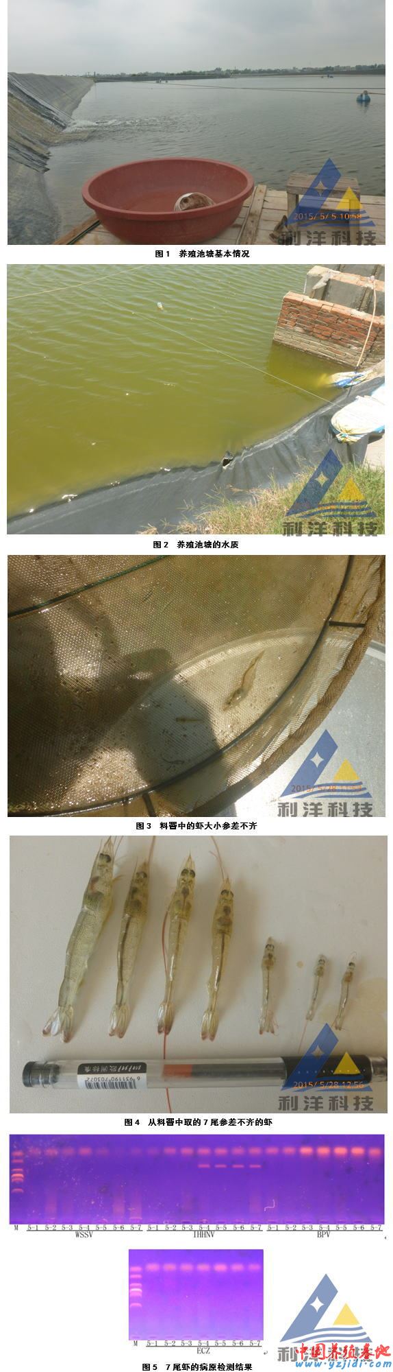 中國養殖基地 yzjidi.com