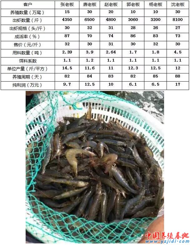 中國養殖基地 yzjidi.com