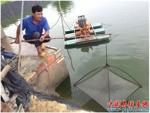中國養殖基地 yzjidi.com