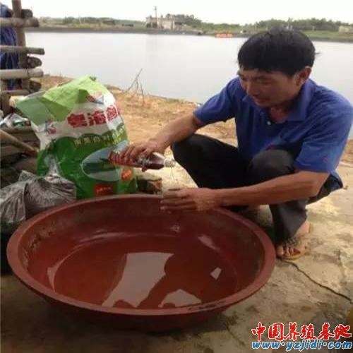 中國養殖基地 yzjidi.com