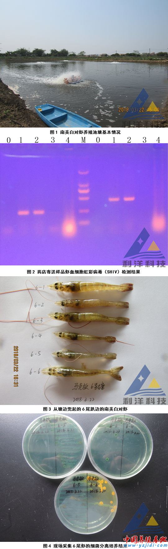 中國養殖基地 yzjidi.com