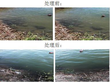 中國養殖基地 yzjidi.com