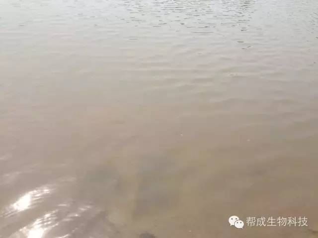中國養殖基地 yzjidi.com