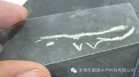 中國養殖基地 yzjidi.com