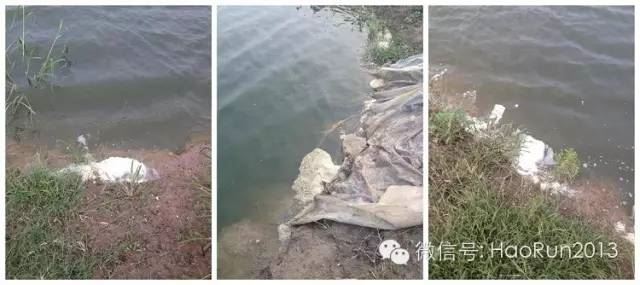 中國養殖基地 yzjidi.com