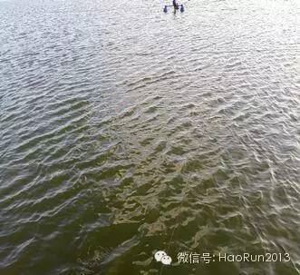 中國養殖基地 yzjidi.com