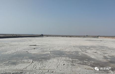 中國養殖基地 yzjidi.com