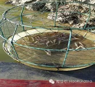 中國養殖基地 yzjidi.com