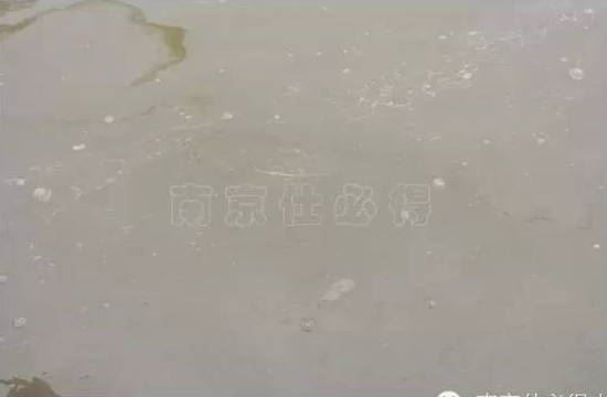 中國養殖基地 yzjidi.com