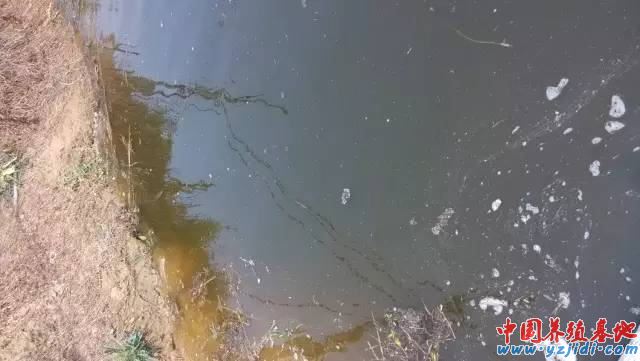 中國養殖基地 yzjidi.com