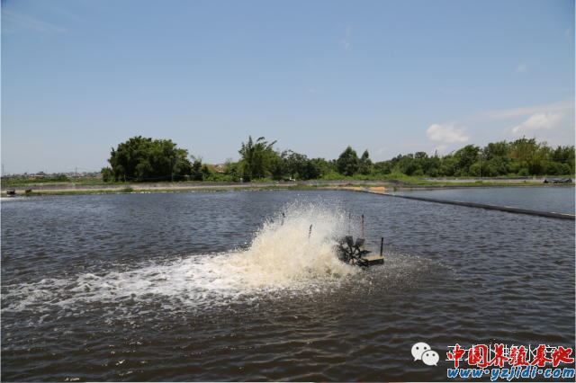 中國養殖基地 yzjidi.com