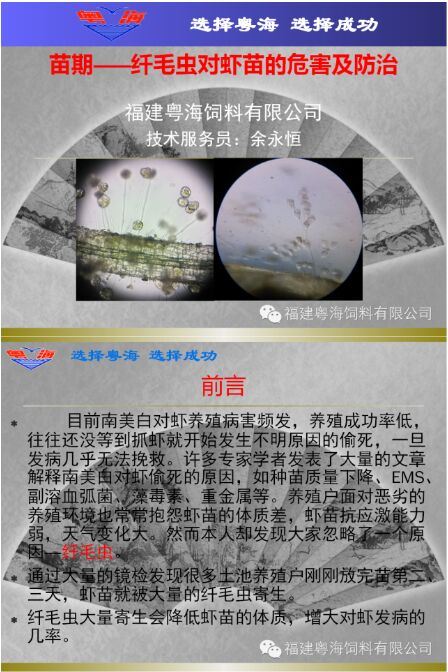 中國養殖基地 yzjidi.com