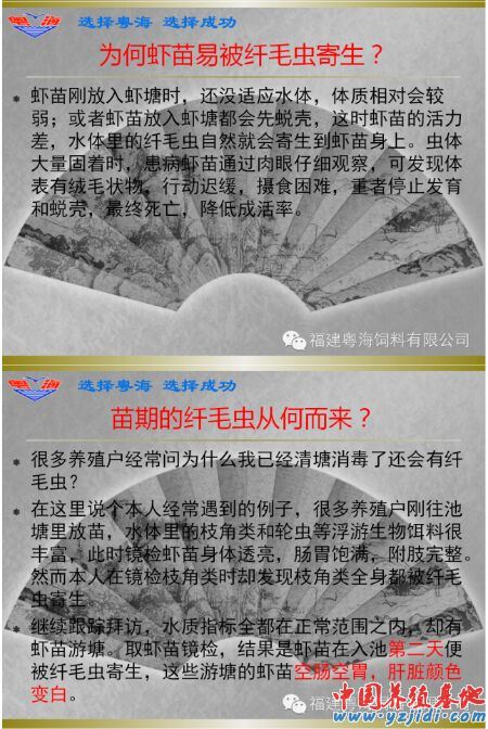 中國養殖基地 yzjidi.com