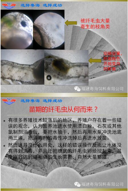 中國養殖基地 yzjidi.com