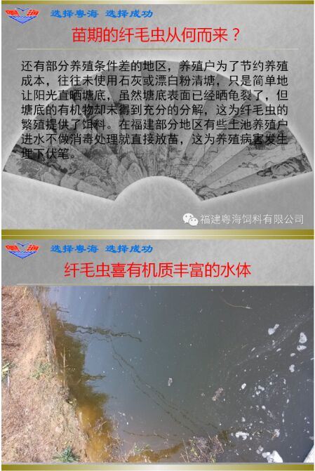 中國養殖基地 yzjidi.com