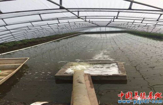 中國養殖基地 yzjidi.com