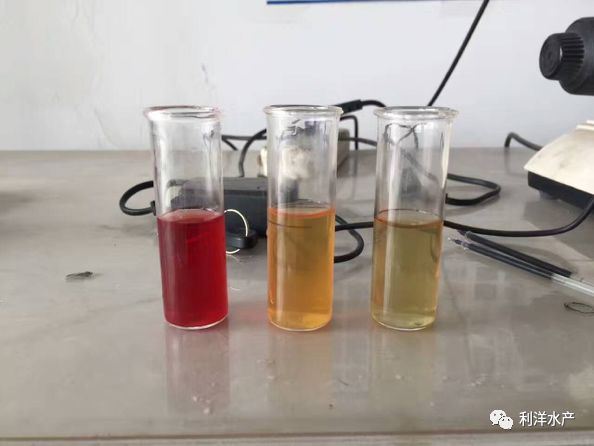中國養殖基地 yzjidi.com