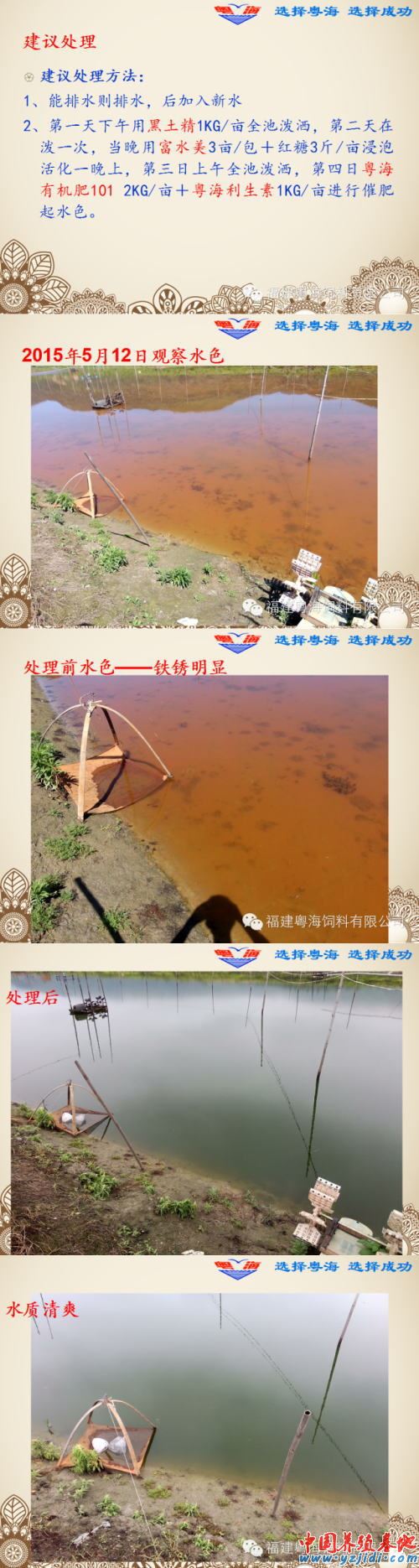 中國養殖基地 yzjidi.com