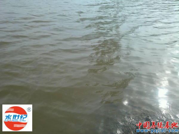 中國養殖基地 yzjidi.com