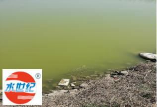 中國養殖基地 yzjidi.com
