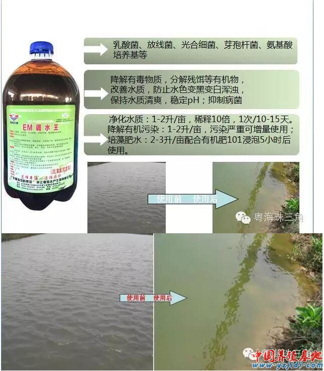 中國養殖基地 yzjidi.com