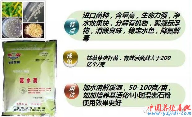 中國養殖基地 yzjidi.com