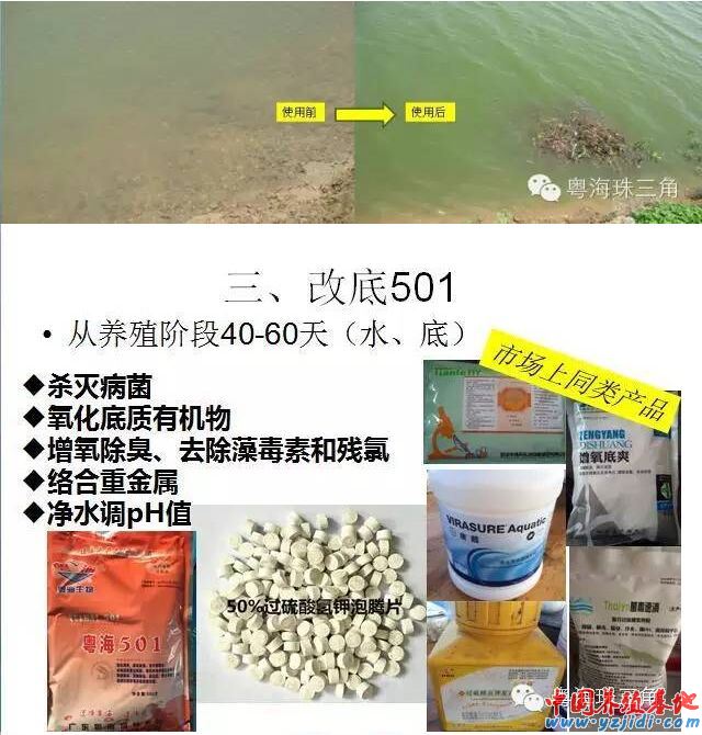 中國養殖基地 yzjidi.com