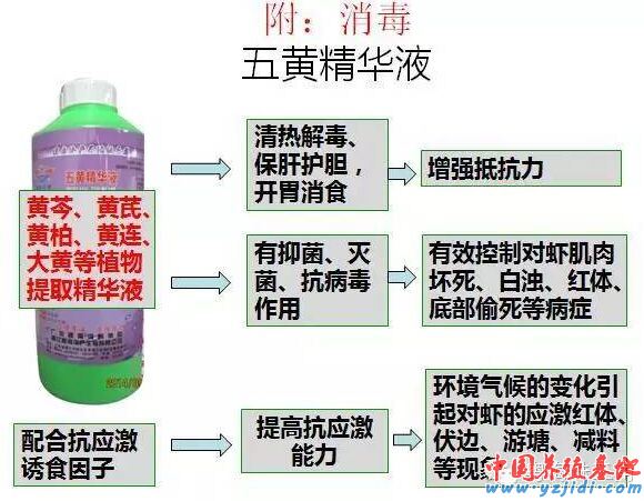 中國養殖基地 yzjidi.com