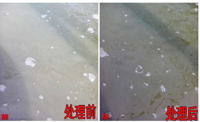中國養殖基地 yzjidi.com
