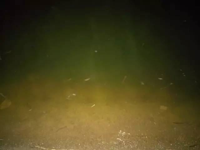 中國養殖基地 yzjidi.com