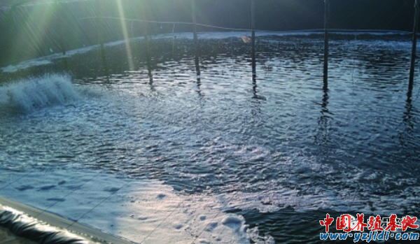 中國養殖基地 yzjidi.com