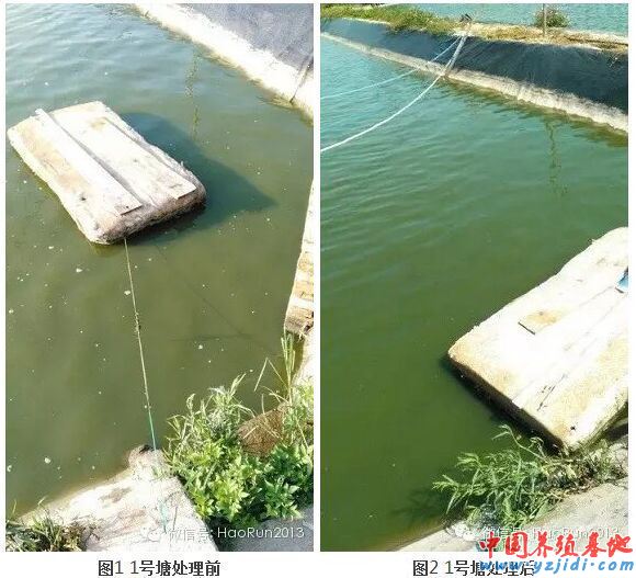 中國養殖基地 yzjidi.com