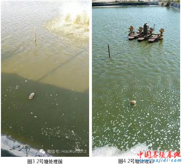 中國養殖基地 yzjidi.com