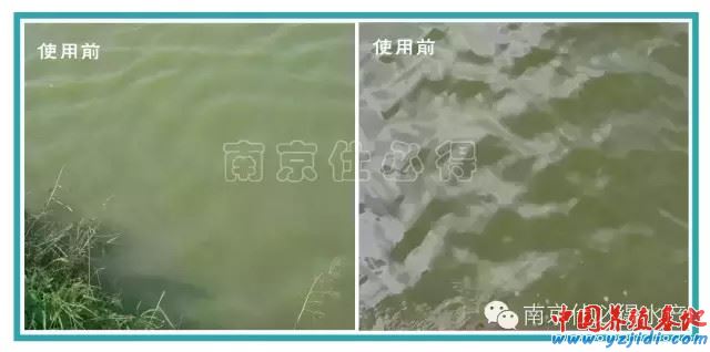 中國養殖基地 yzjidi.com