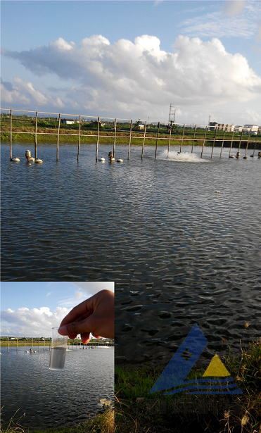 中國養殖基地 yzjidi.com