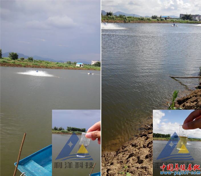 中國養殖基地 yzjidi.com