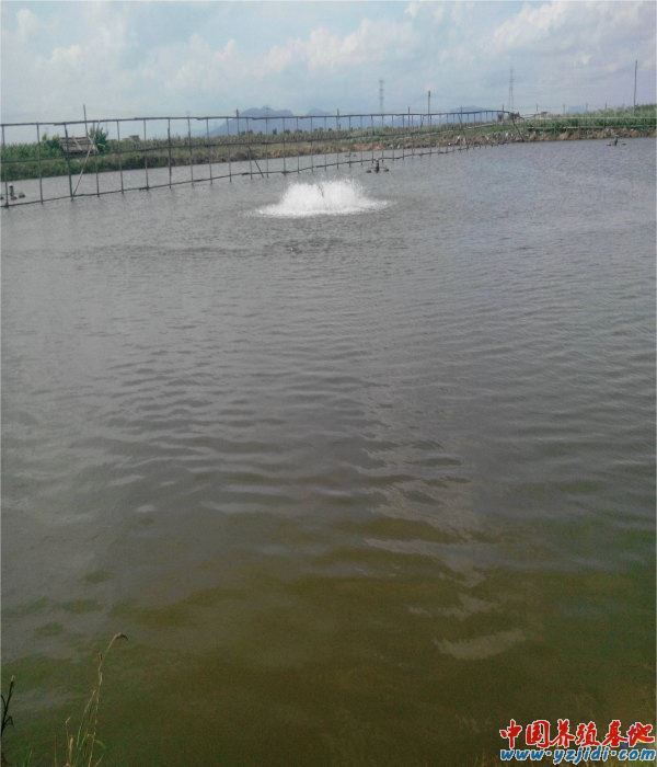 中國養殖基地 yzjidi.com