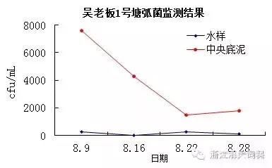 中國養殖基地 yzjidi.com