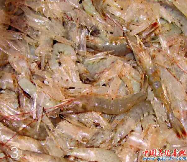 中國養殖基地 yzjidi.com