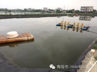 中國養殖基地 yzjidi.com