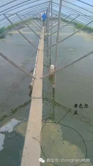中國養殖基地 yzjidi.com