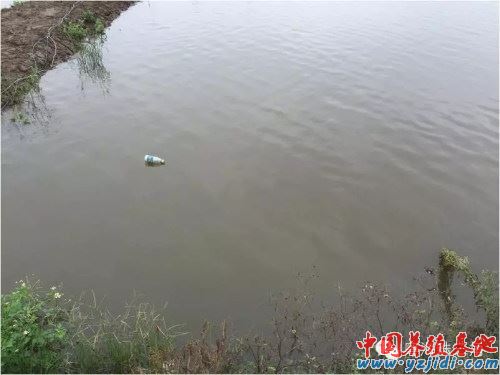 中國養殖基地 yzjidi.com